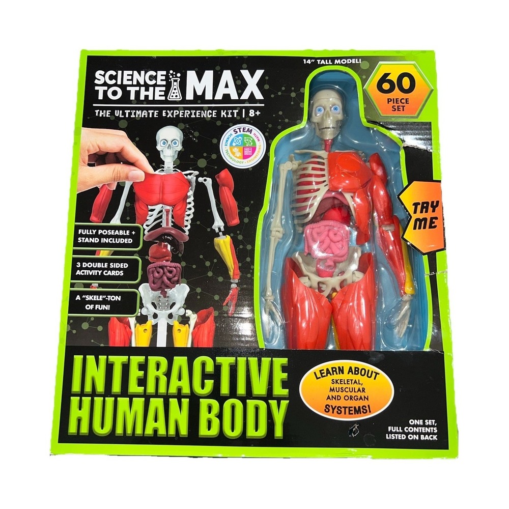 3N6/ Be Amazing! Toys Interactive Human Body STEM Kit 60 Piece Set